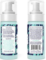 Petpost Fresh Breath Mint & Apple Flavor Dog Dental Foam, 5-oz bottle slide 2 of 6