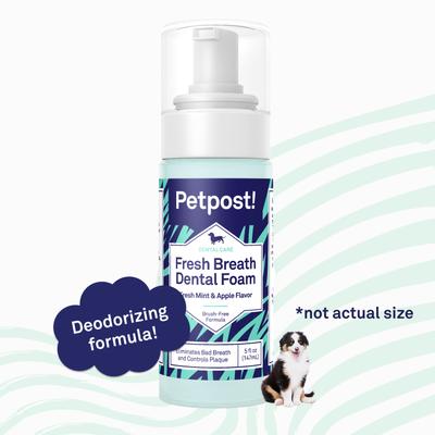Show full view: Petpost Fresh Breath Mint & Apple Flavor Dog Dental Foam, 5-oz bottle slide 5 of 7