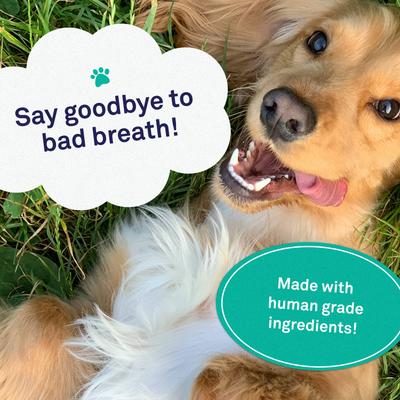 Show full view: Petpost Mint & Apple Flavor Dog Dental Wipes, 100 count slide 3 of 9