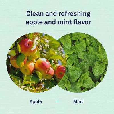 Show full view: Petpost Mint & Apple Flavor Dog Dental Wipes, 100 count slide 4 of 9