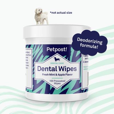 Show full view: Petpost Mint & Apple Flavor Dog Dental Wipes, 100 count slide 6 of 9