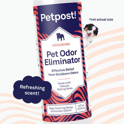 Show full view: Petpost Pet Odor Eliminator Spray, 8-fl oz bottle slide 5 of 7