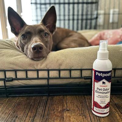 Show full view: Petpost Pet Odor Eliminator Spray, 8-fl oz bottle slide 6 of 7