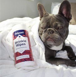 Petpost Wrinkle Wipes with Coconut Oil & Aloe Vera Dog Grooming Wipes, 60 count slide 2 of 8