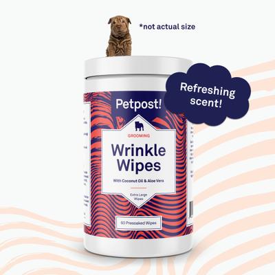 Show full view: Petpost Wrinkle Wipes with Coconut Oil & Aloe Vera Dog Grooming Wipes, 60 count slide 6 of 9