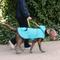 Show in main carousel: PetRageous Designs Banff Packable Waterproof Dog Raincoat, Aqua, XX-Large slide 6 of 8