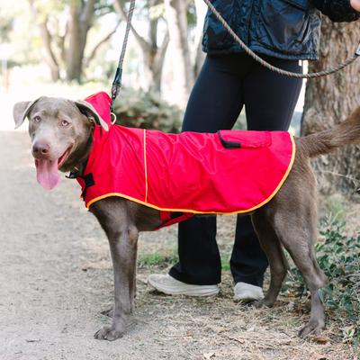 Show full view: PetRageous Designs Banff Packable Waterproof Dog Raincoat, Red, X-Large slide 6 of 8