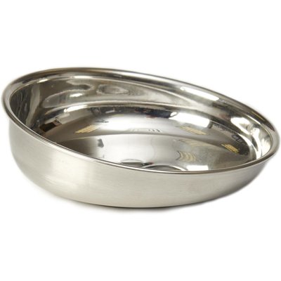 PetRageous Designs PetRageous Designs Bermuda Stainless-Steel Shallow with Embossed Paw Slanted Dog & Cat Bowl, Metallic, Small: 1-cup