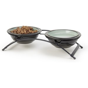 PetRageous Designs Buddy's Best Double Diner Elevated Dog & Cat Bowls, Sage, 2-cup