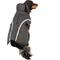 Show in main carousel: PetRageous Designs Calgary Harness Dog Coat, Charcoal, Large slide 1 of 6