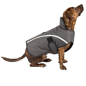 PetRageous Designs Calgary Harness Dog Coat, Charcoal, Medium 