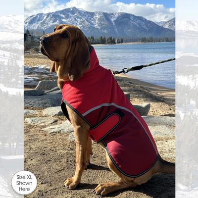 Show full view: PetRageous Designs Calgary Insulated Dog Jacket, Red, Large slide 7 of 10
