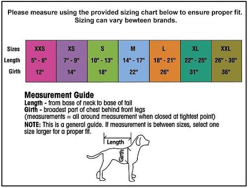 Show full view: PetRageous Designs Calgary Insulated Dog Jacket, Red, Medium slide 2 of 10