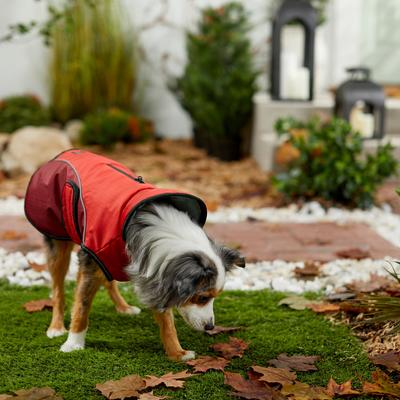 Show full view: PetRageous Designs Calgary Insulated Dog Jacket, Red, Medium slide 4 of 10