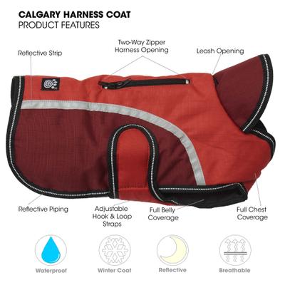 Show full view: PetRageous Designs Calgary Insulated Dog Jacket, Red, Medium slide 6 of 10