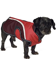 PetRageous Designs Calgary Insulated Dog Jacket, Red, Small