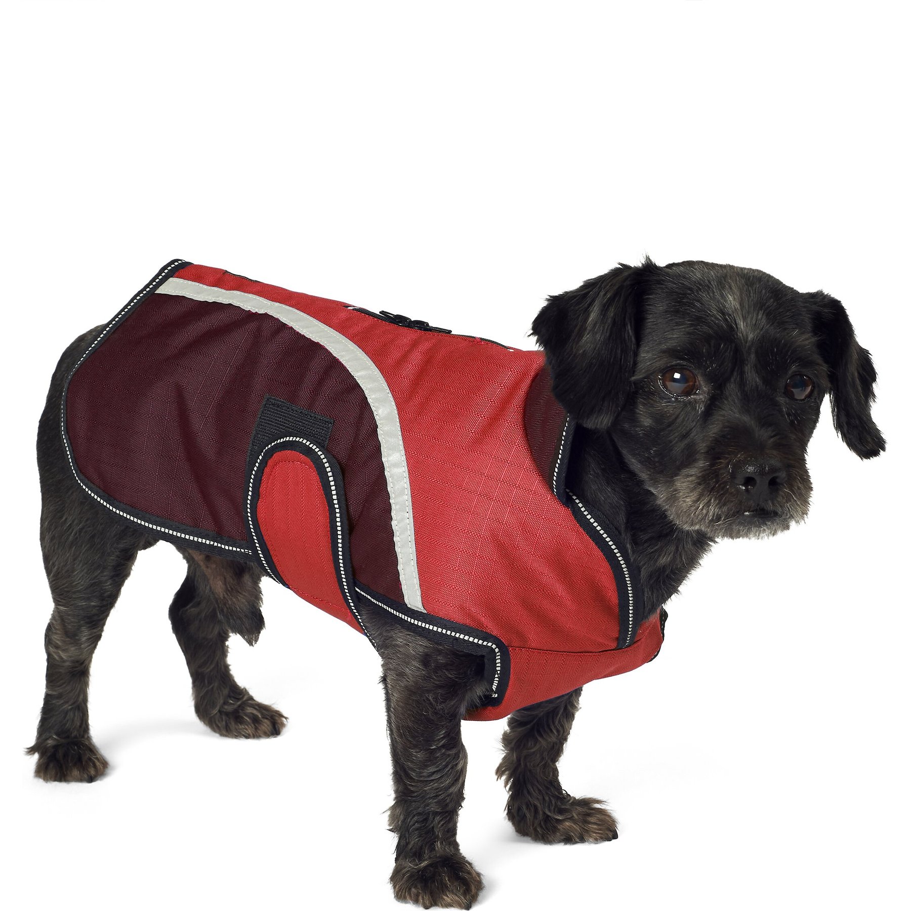 PetRageous Designs Calgary Insulated Dog Jacket, Red, Small