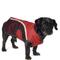 Show in main carousel: PetRageous Designs Calgary Insulated Dog Jacket, Red, Small slide 1 of 10