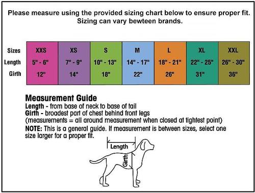 Show full view: PetRageous Designs Calgary Insulated Dog Jacket, Red, Small slide 2 of 10