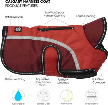 Show full view: PetRageous Designs Calgary Insulated Dog Jacket, Red, Small slide 6 of 10
