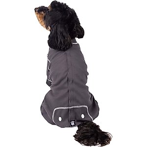 Barefoot Dreams CozyChic Barefoot in the Wild Dog Sweater