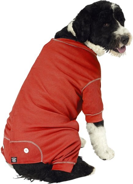 PetRageous Designs Elf Dog Night Shirt