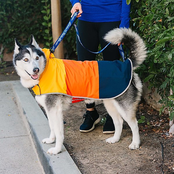 PetRageous Designs Eddie Bauer PET Ravenna Waterproof Dog Windbreaker Coat
