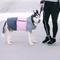 Show in main carousel: PetRageous Designs Eddie Bauer PET Ravenna Waterproof Dog Windbreaker Coat, Pink, X-Small slide 4 of 6