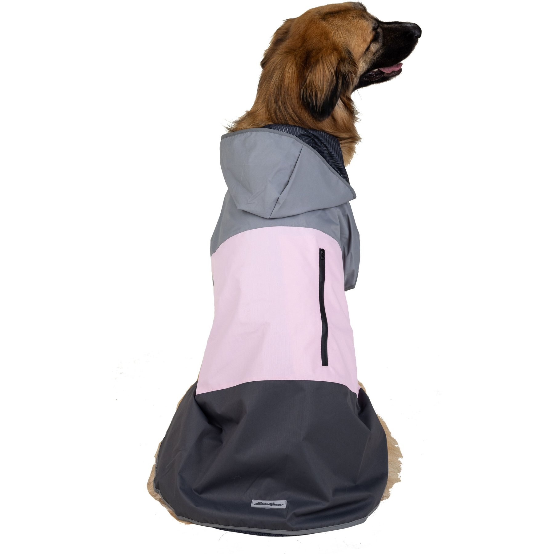 Eddie Bauer PET Ravenna Waterproof Dog Windbreaker Coat, Pink, XX-Large