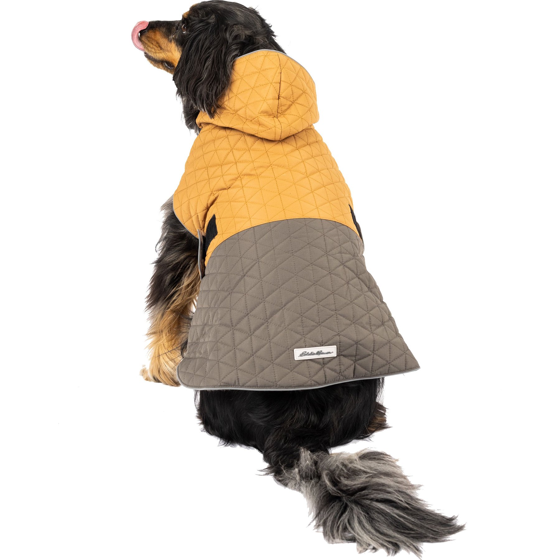 PetRageous Designs Eddie Bauer Pet Richaland Two-Tone Quilted Dog Puffer Jacket, Brown, Small