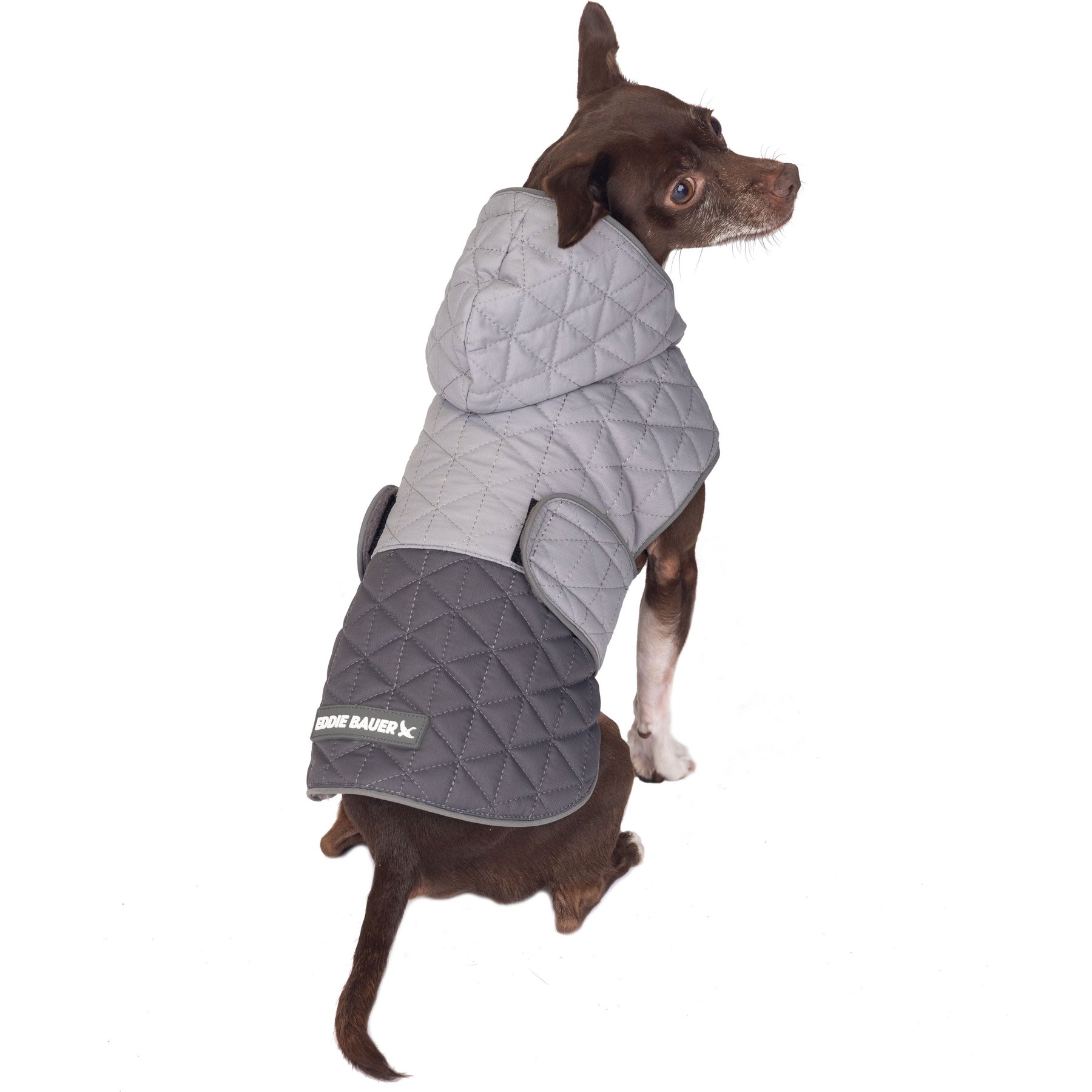 PetRageous Designs Eddie Bauer Pet Richaland Two-Tone Quilted Dog Puffer Jacket, Gray, Small