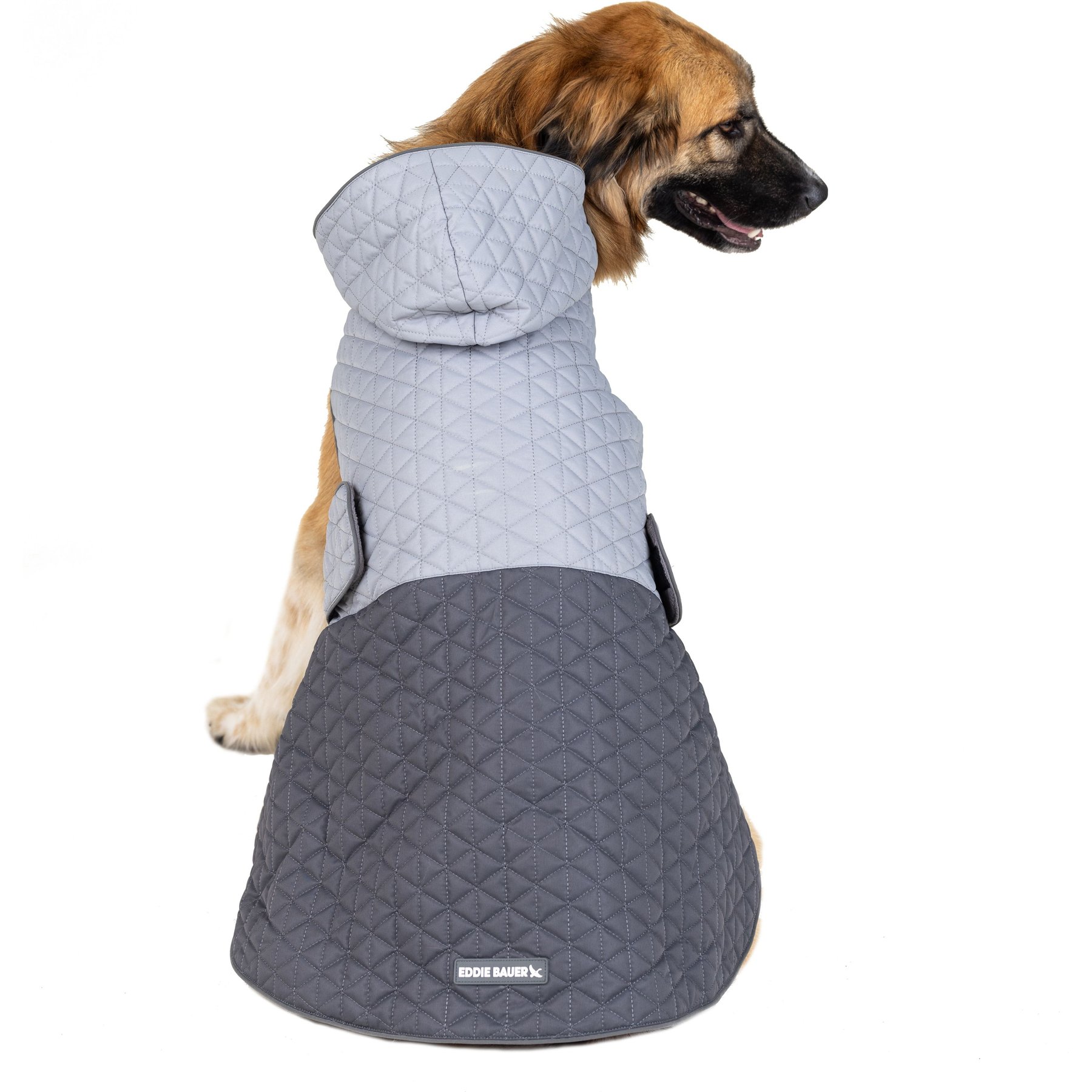 PetRageous Designs Eddie Bauer Pet Richaland Two-Tone Quilted Dog Puffer Jacket, Gray, XX-Large