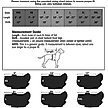 Show in main carousel: PetRageous Designs Eddie Bauer Pet Richaland Two-Tone Quilted Dog Puffer Jacket, Gray, XX-Large slide 5 of 6