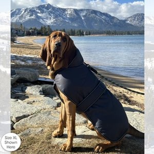 PetRageous Designs Juneau Insulated Dog Jacket, Gray, Small