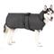 Show in main carousel: PetRageous Designs Juneau Insulated Dog Jacket, Gray, X-Large slide 1 of 8
