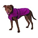 PetRageous Designs Juneau Insulated Dog Jacket, Magenta, Large