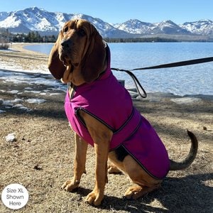 PetRageous Designs Juneau Insulated Dog Jacket, Magenta, Medium