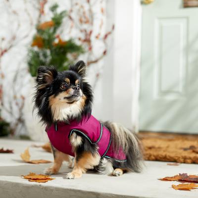 Show full view: PetRageous Designs Juneau Insulated Dog Jacket, Magenta, Small slide 4 of 10