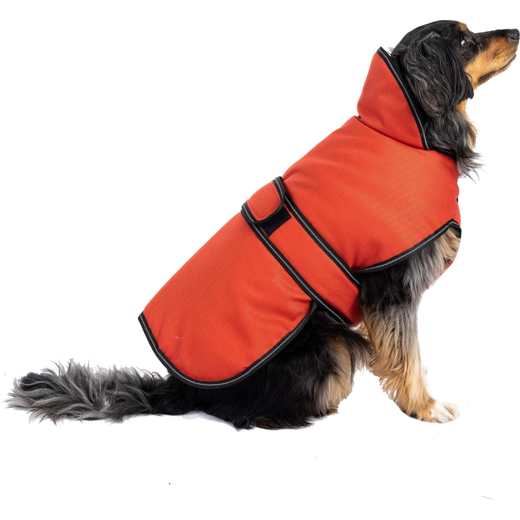 PetRageous Designs Juneau Insulated Dog Jacket, Red, Large