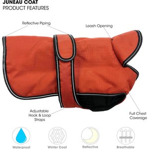 PetRageous Designs Juneau Insulated Dog Jacket, Red, Large