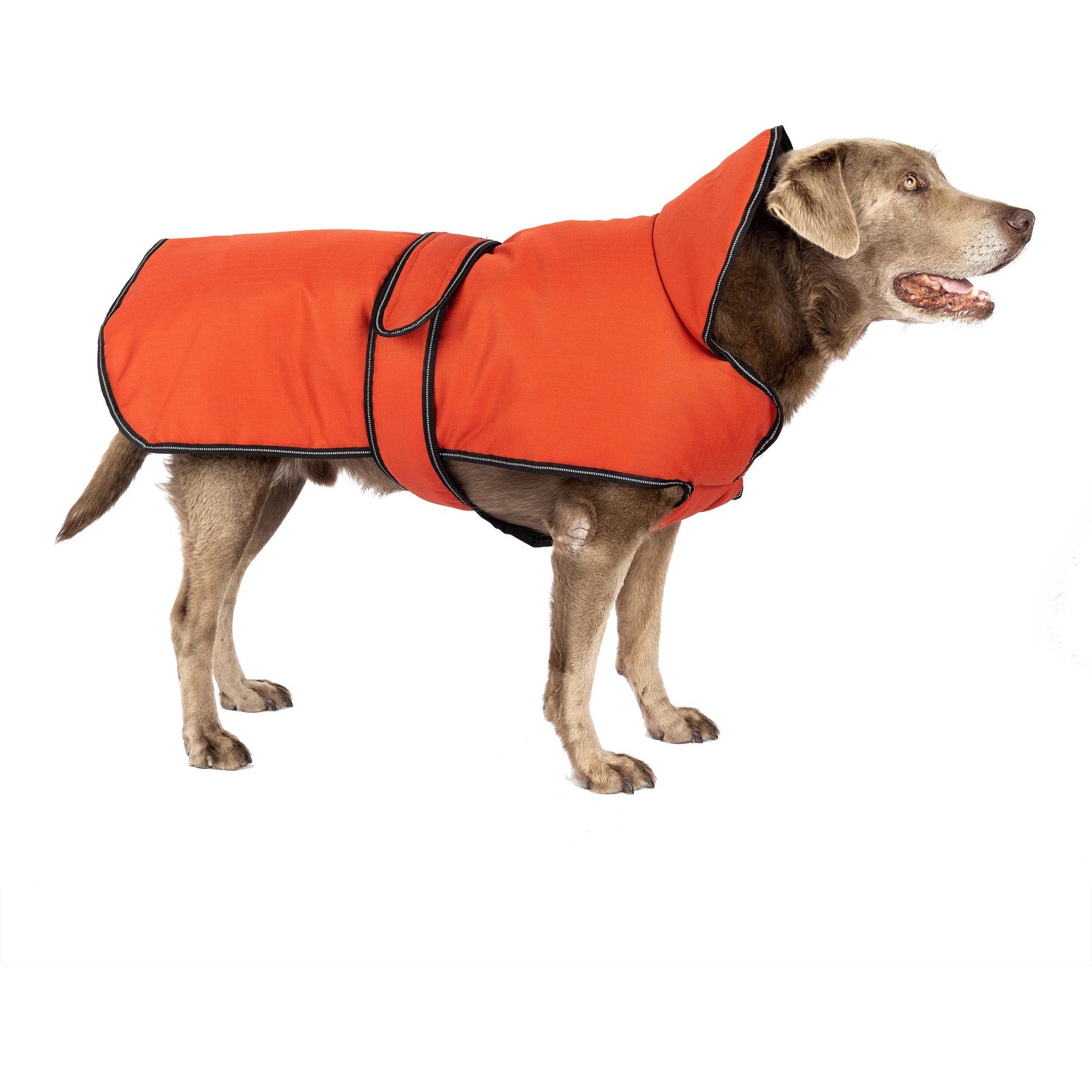 PetRageous Designs Juneau Insulated Dog Jacket, Red, XX-Large