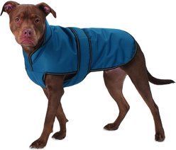 PetRageous Designs Juneau Insulated Dog Jacket, Teal, Large slide 1 of 8