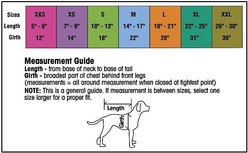 PetRageous Designs Juneau Insulated Dog Jacket, Teal, Large slide 2 of 8