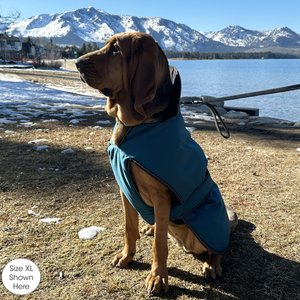 PetRageous Designs Juneau Insulated Dog Jacket, Teal, Large