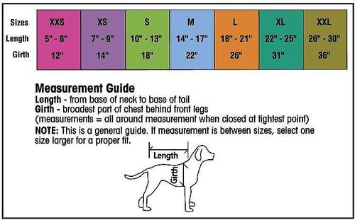 Show full view: PetRageous Designs Juneau Insulated Dog Jacket, Teal, Medium slide 2 of 10