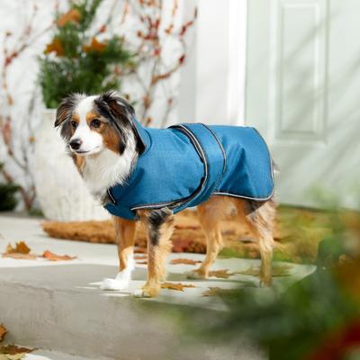 Show full view: PetRageous Designs Juneau Insulated Dog Jacket, Teal, Medium slide 4 of 10
