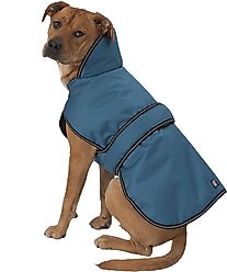 PetRageous Designs Juneau Insulated Dog Jacket, Teal, X-Large