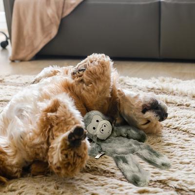 Show full view: PetRageous Designs Knuckles the Gorilla 18-in Squeak & Crinkle Plush Dog Toy, Grey slide 2 of 4