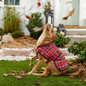 PetRageous Designs Kodiak Insulated Dog Coat, Red Plaid, Large