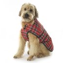 PetRageous Designs Kodiak Insulated Dog Coat, Red Plaid, XX-Large